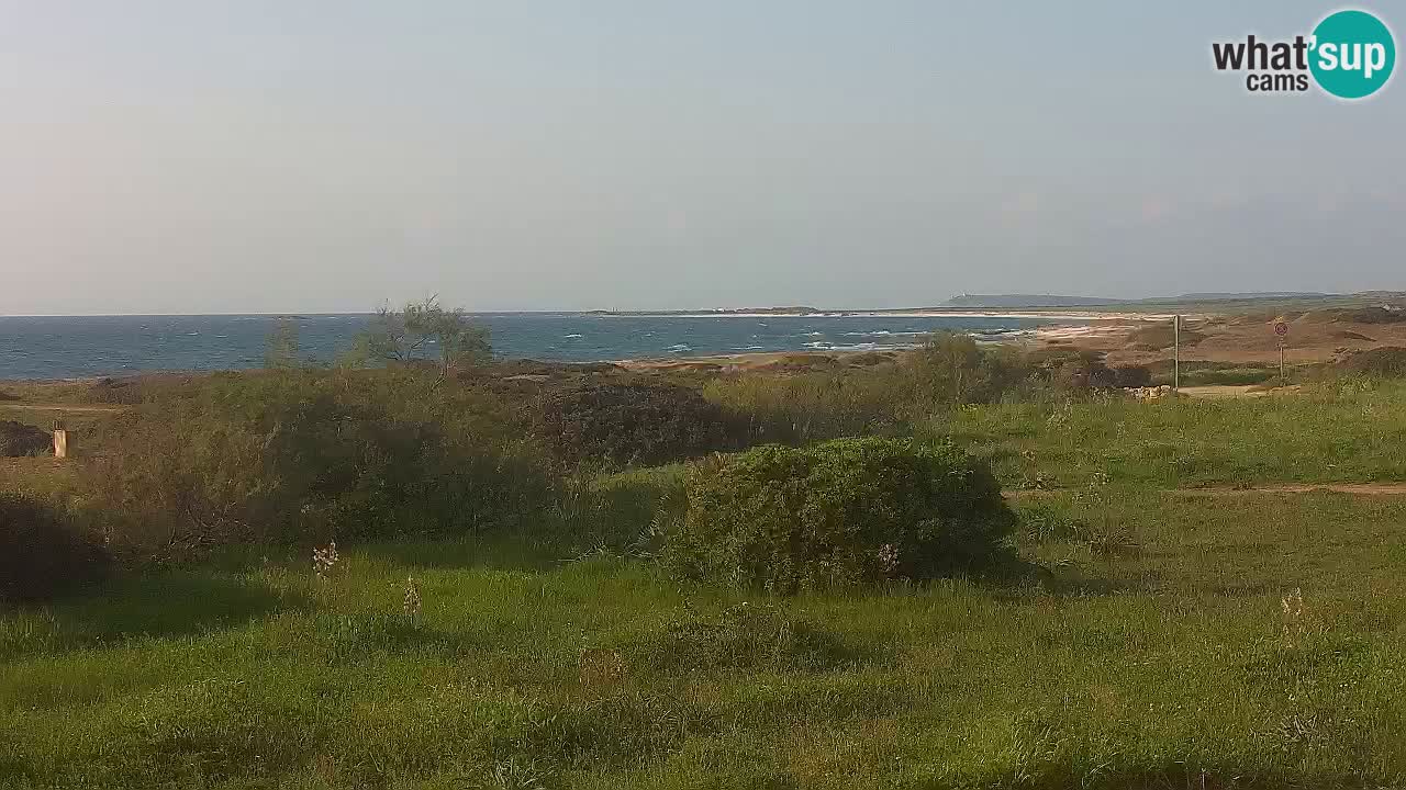 Playa Mari Ermi | Is Arutas – Oristano