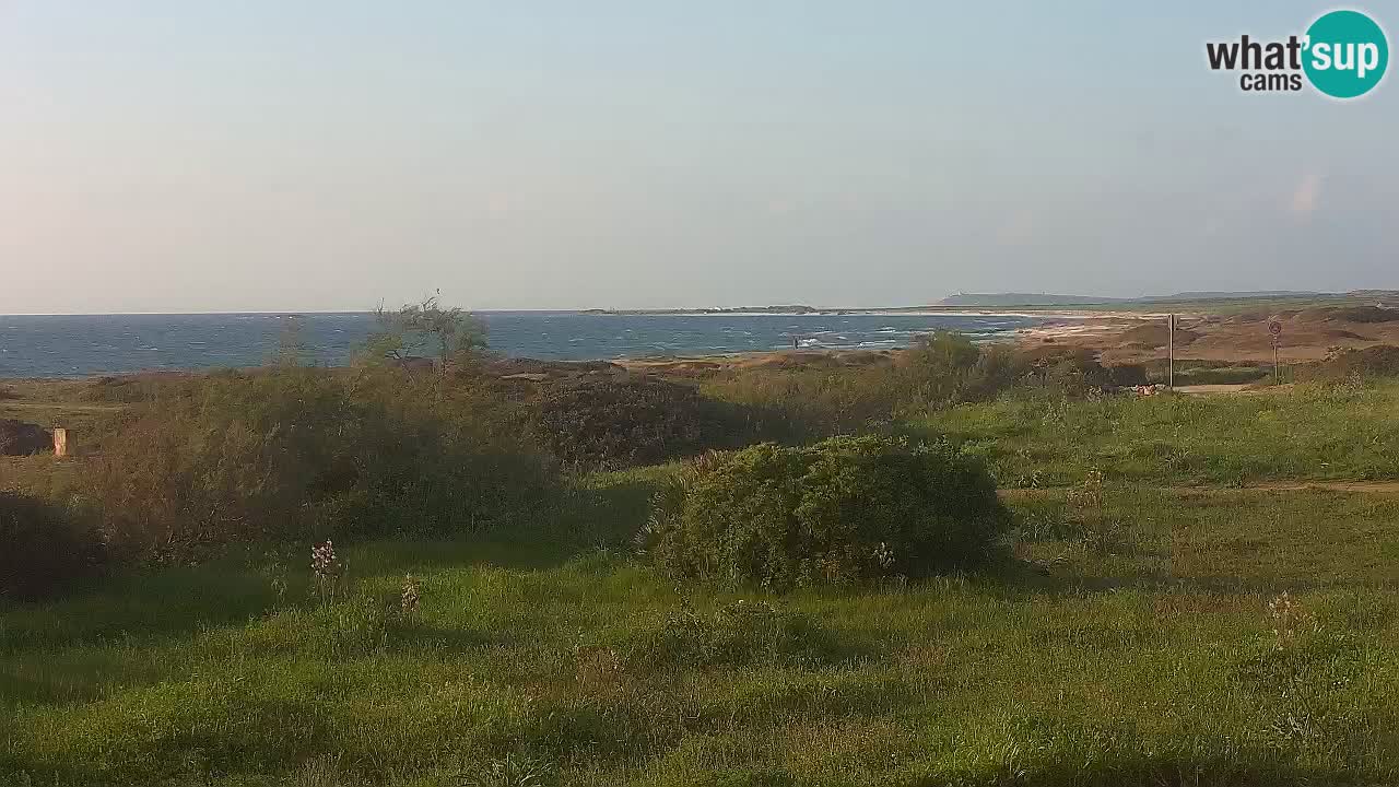 Plaža Mari Ermi | Is Arutas – Oristano