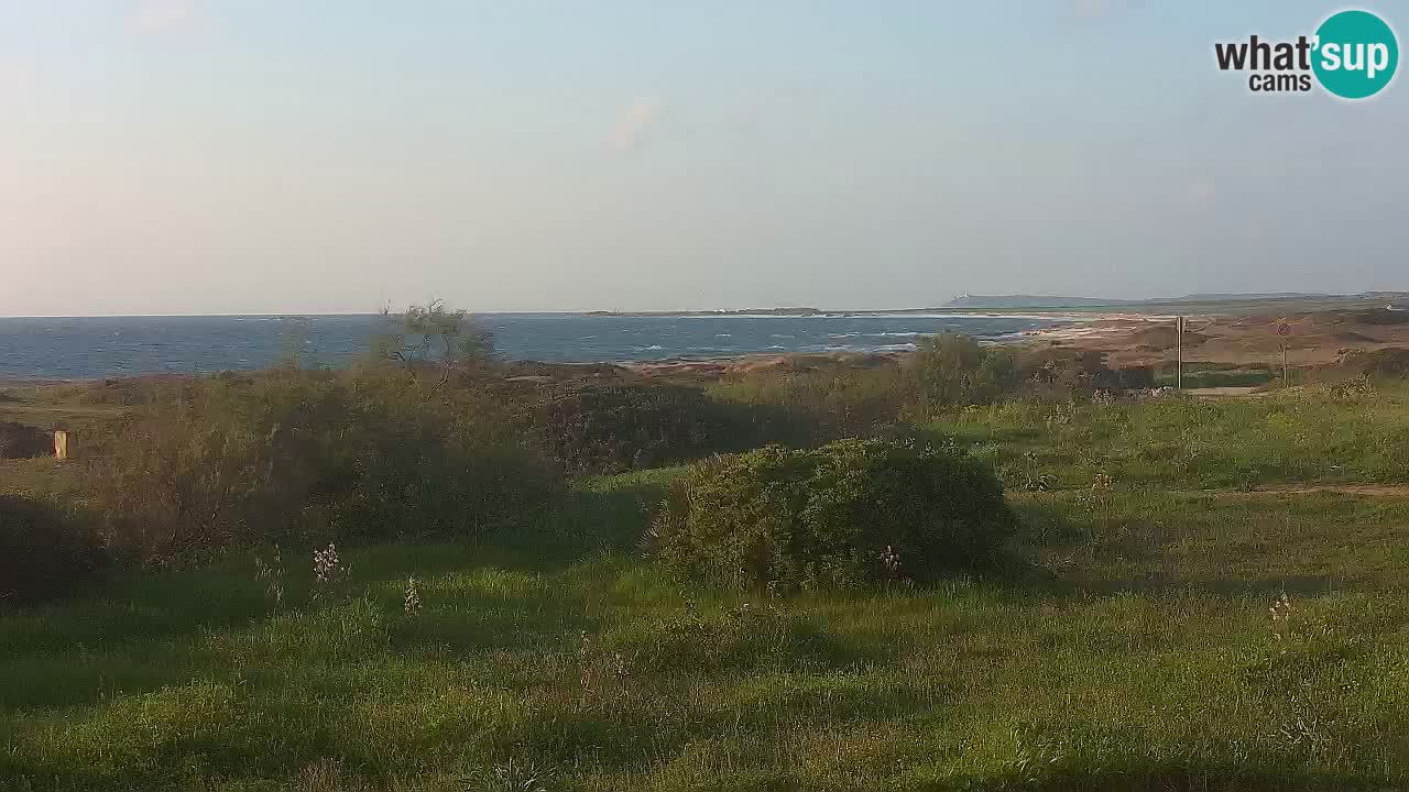 Spiaggia Mari Ermi | Is Arutas – Oristano
