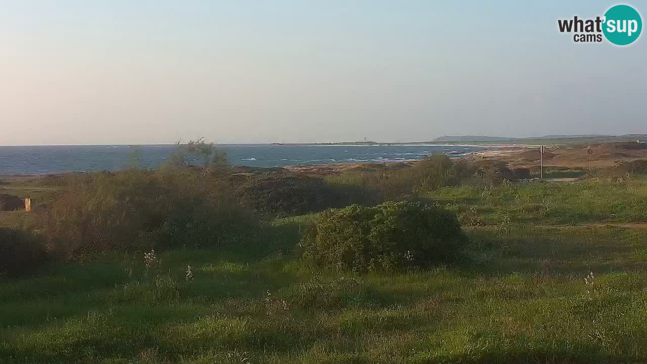 Spiaggia Mari Ermi | Is Arutas – Oristano