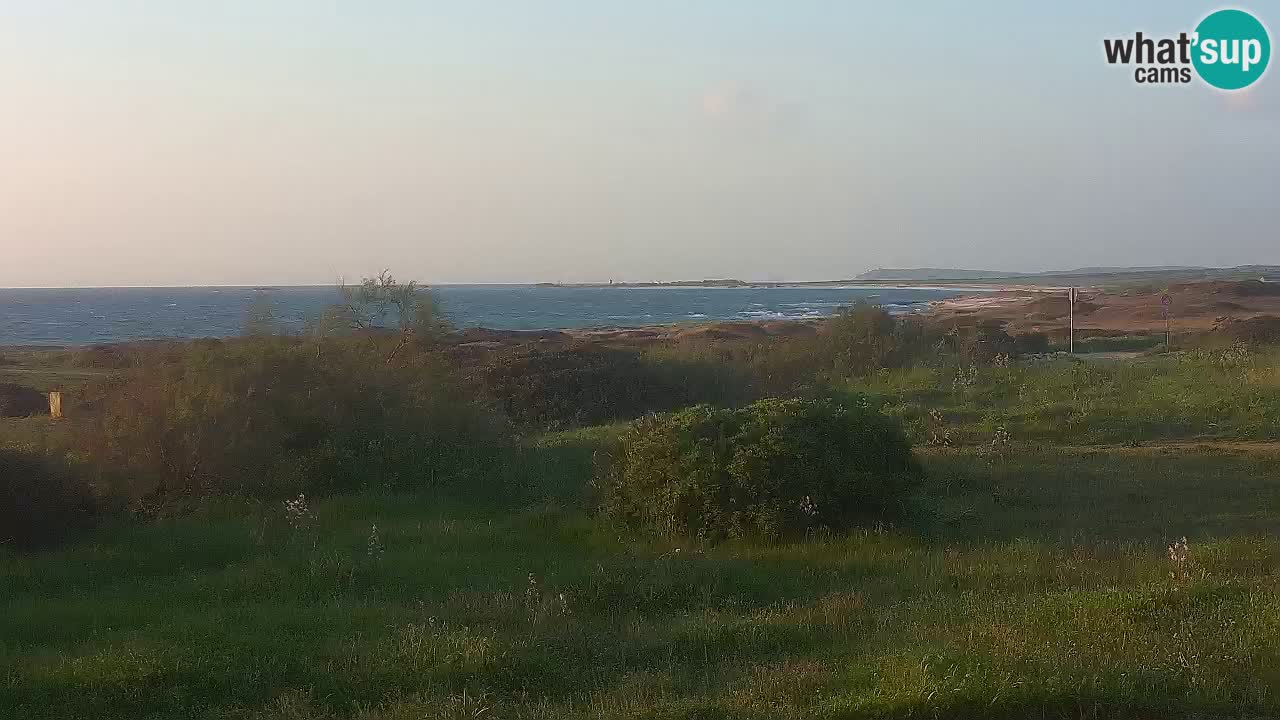 Mari Ermi Strand | Is Arutas – Oristano