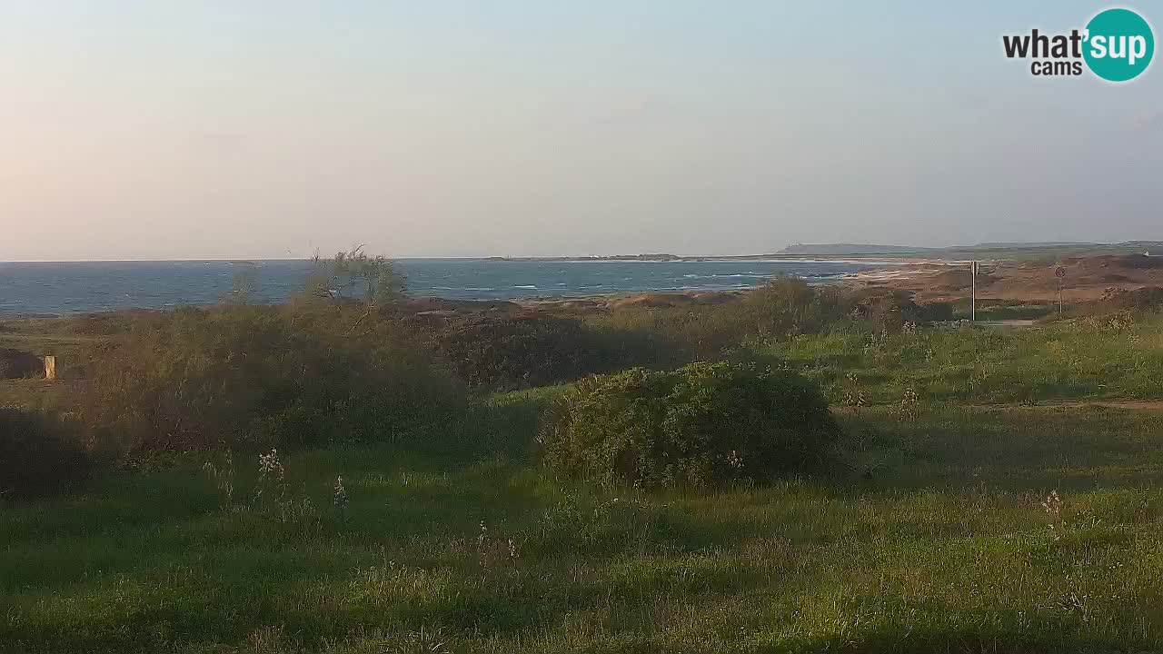 Playa Mari Ermi | Is Arutas – Oristano