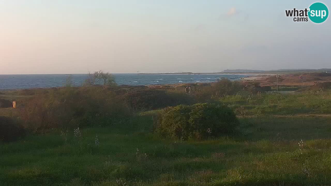 Playa Mari Ermi | Is Arutas – Oristano