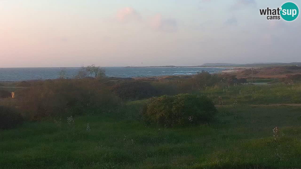 Spiaggia Mari Ermi | Is Arutas – Oristano