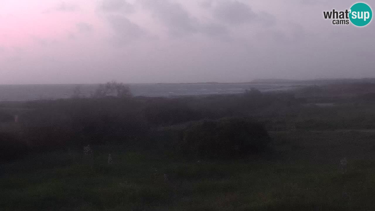 Mari Ermi Strand | Is Arutas – Oristano