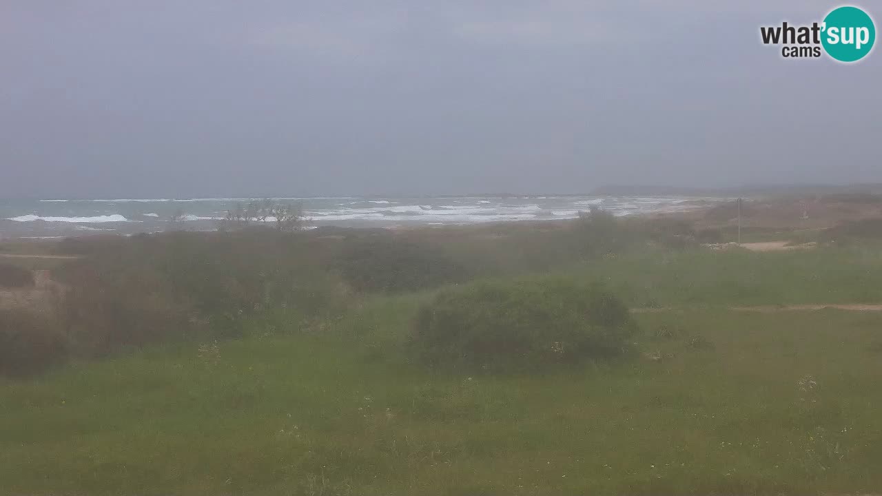 Plaža Mari Ermi | Is Arutas – Oristano