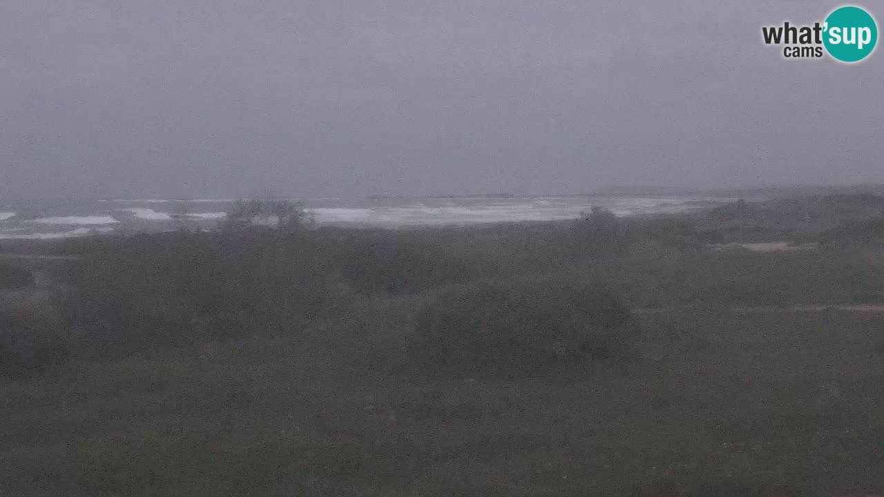 Spiaggia Mari Ermi | Is Arutas – Oristano