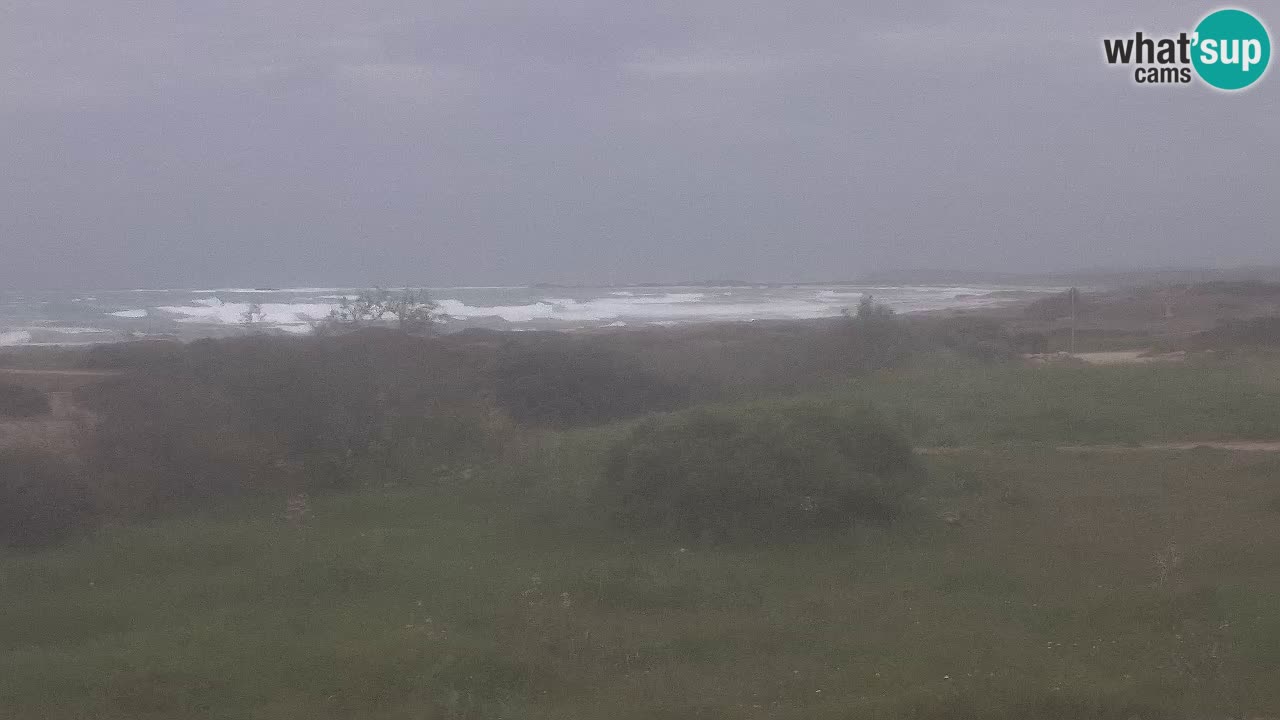 Plaža Mari Ermi | Is Arutas – Oristano