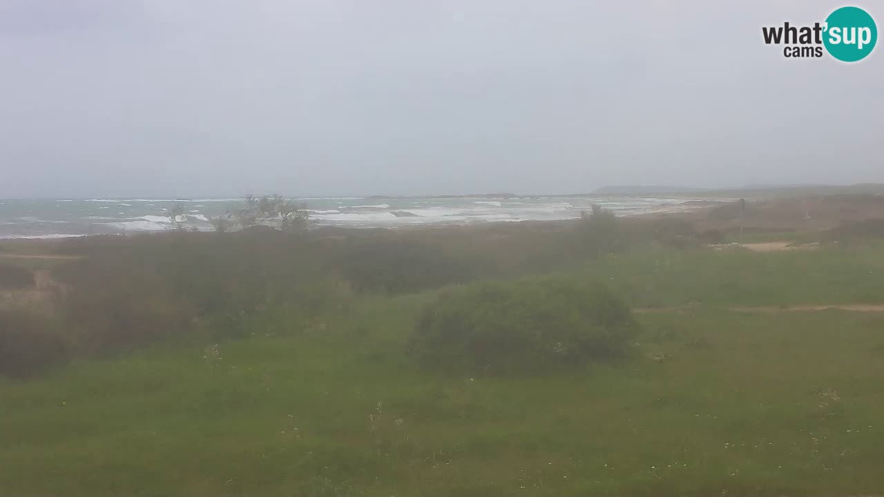 Plaža Mari Ermi | Is Arutas – Oristano