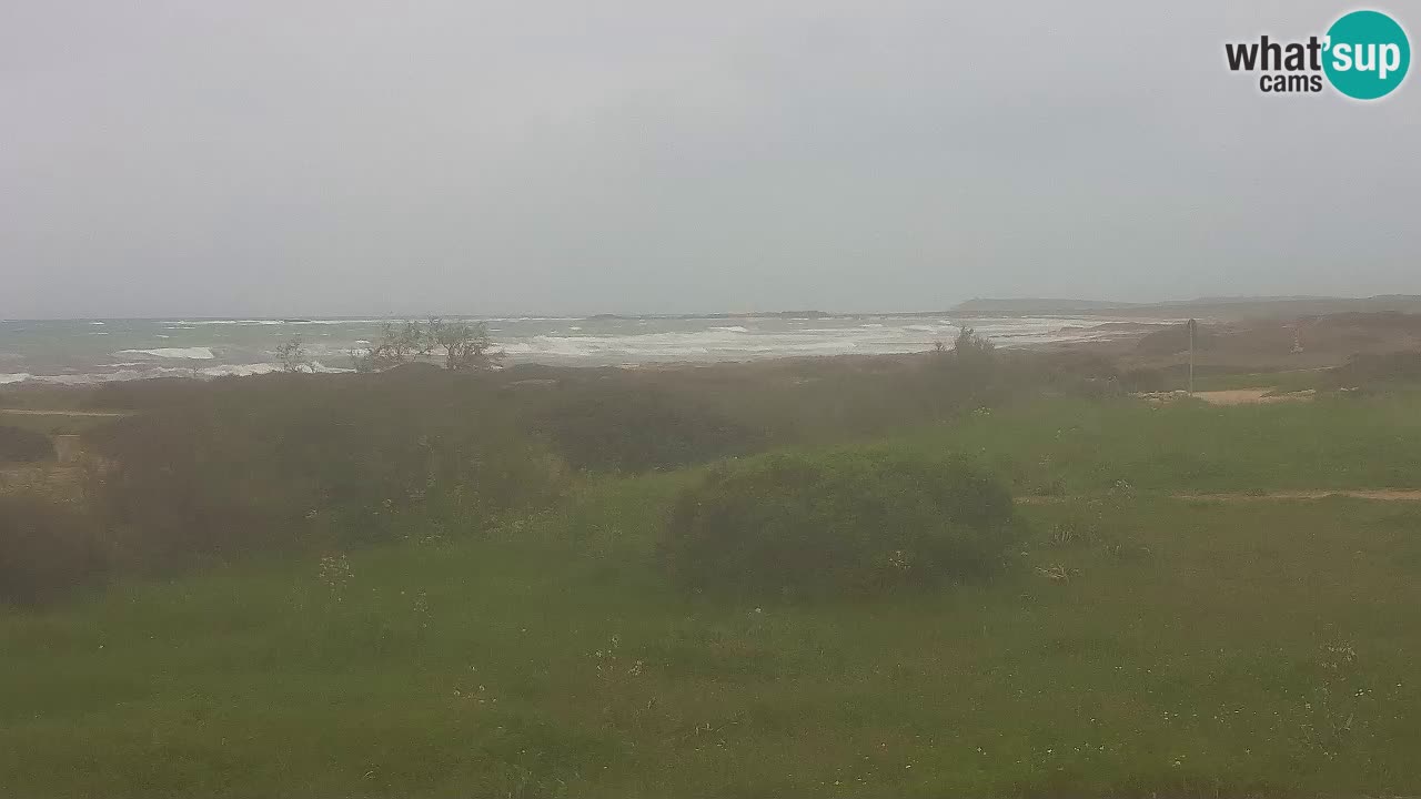 Mari Ermi Strand | Is Arutas – Oristano