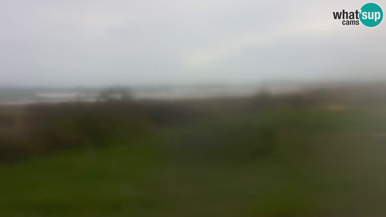 Mari Ermi Strand | Is Arutas – Oristano