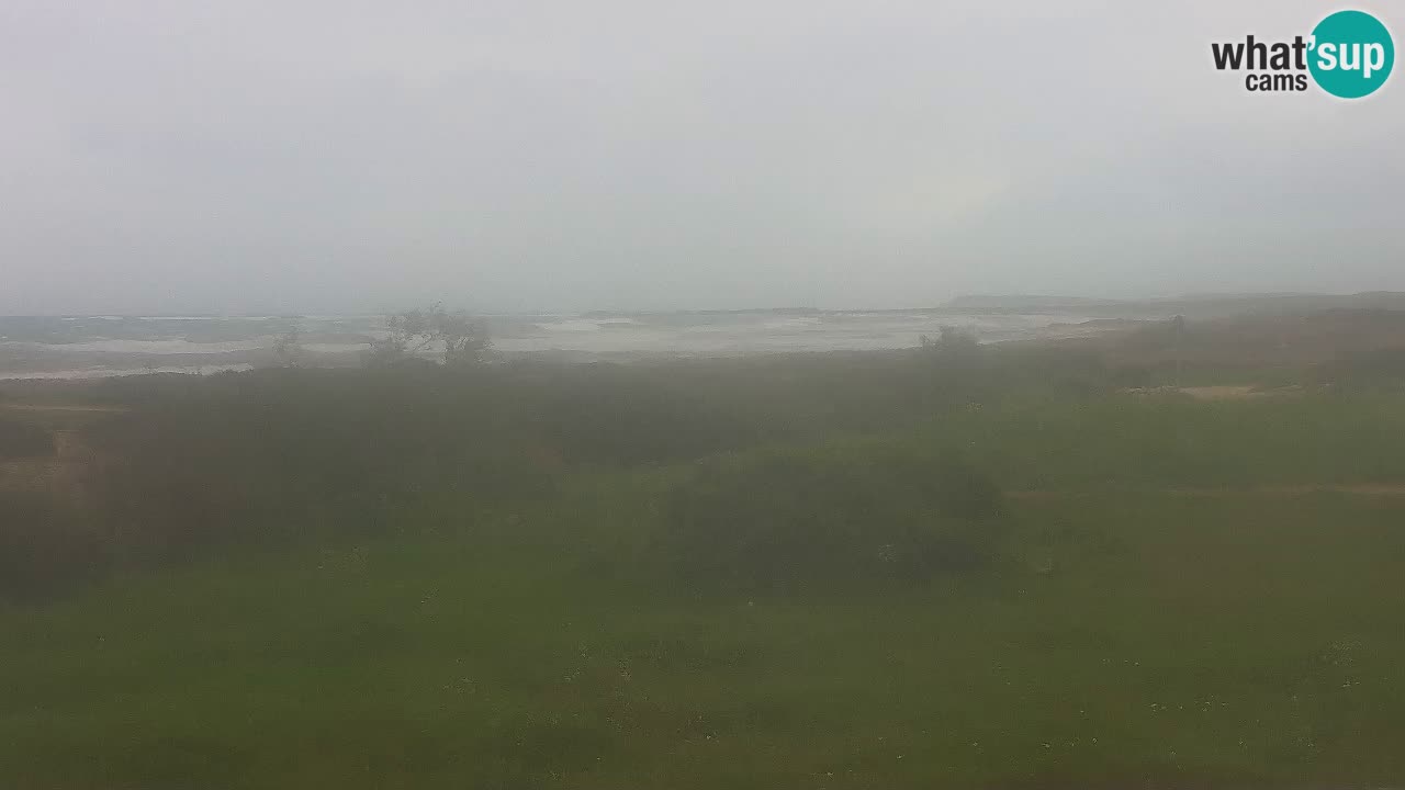 Plaža Mari Ermi | Is Arutas – Oristano