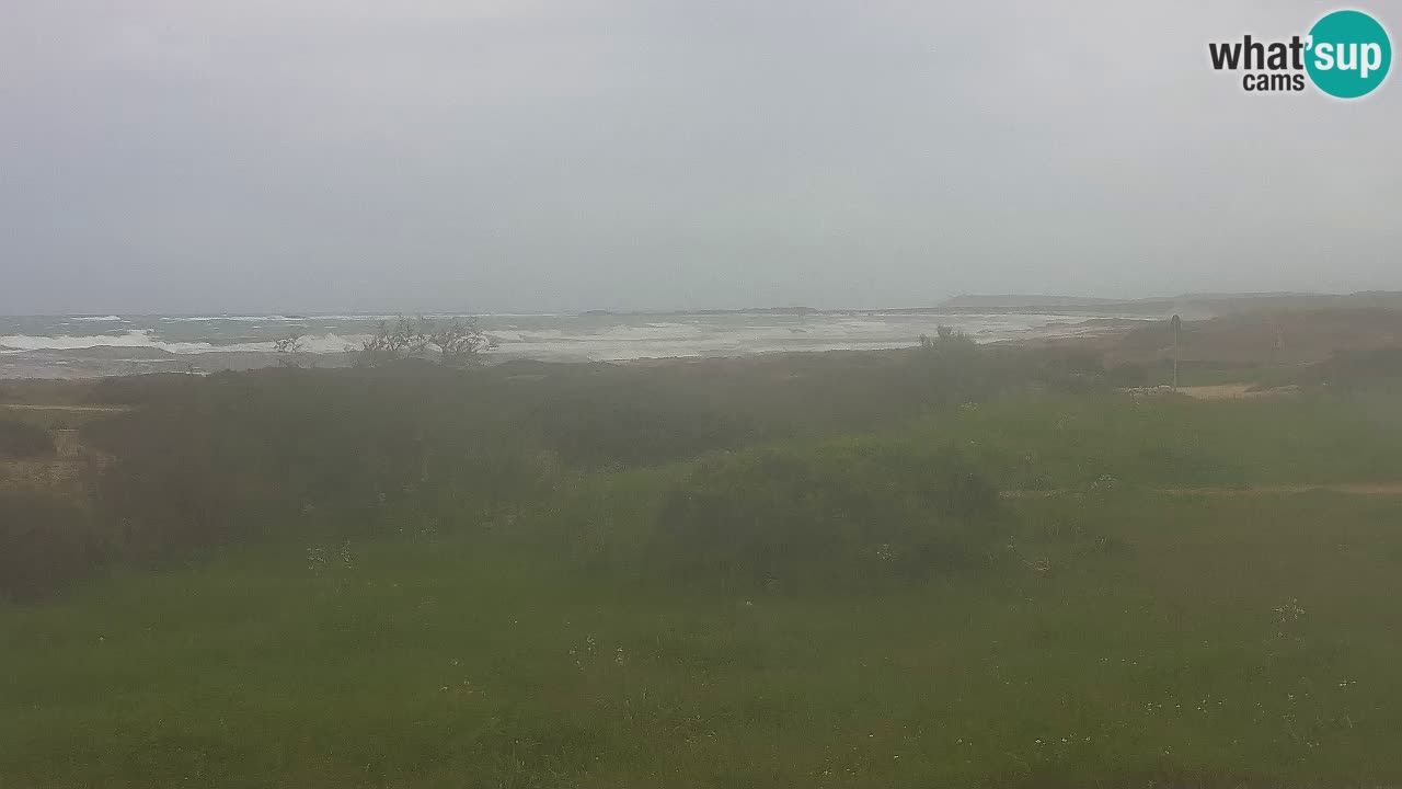 Plaža Mari Ermi | Is Arutas – Oristano