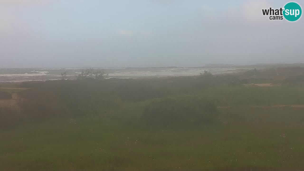 Mari Ermi Strand | Is Arutas – Oristano