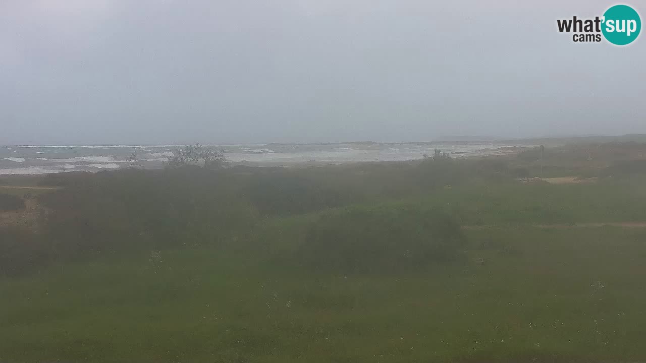 Spiaggia Mari Ermi | Is Arutas – Oristano