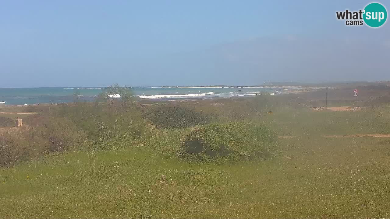 Plaža Mari Ermi | Is Arutas – Oristano