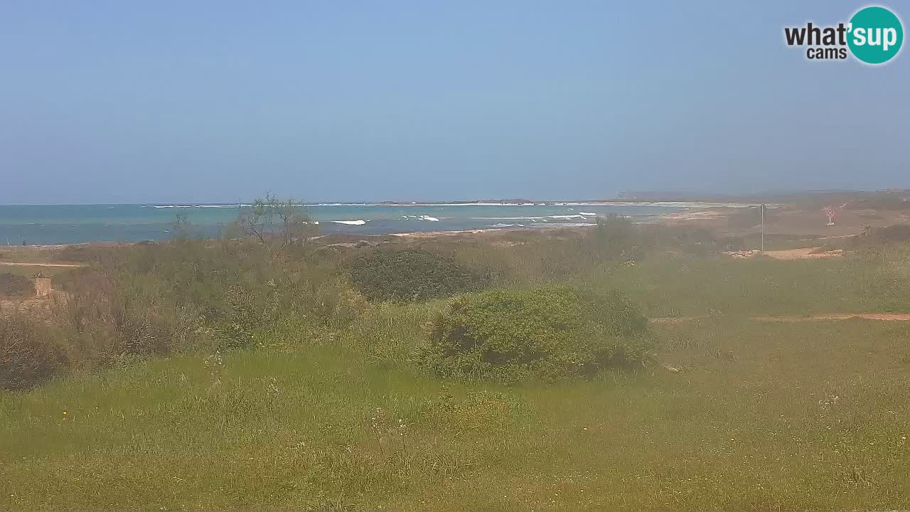 Playa Mari Ermi | Is Arutas – Oristano
