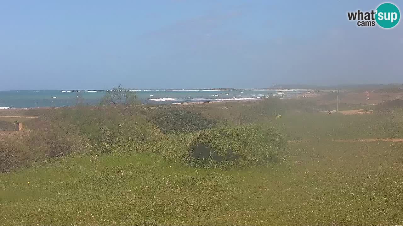Playa Mari Ermi | Is Arutas – Oristano