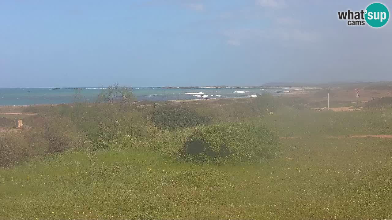 Mari Ermi Strand | Is Arutas – Oristano