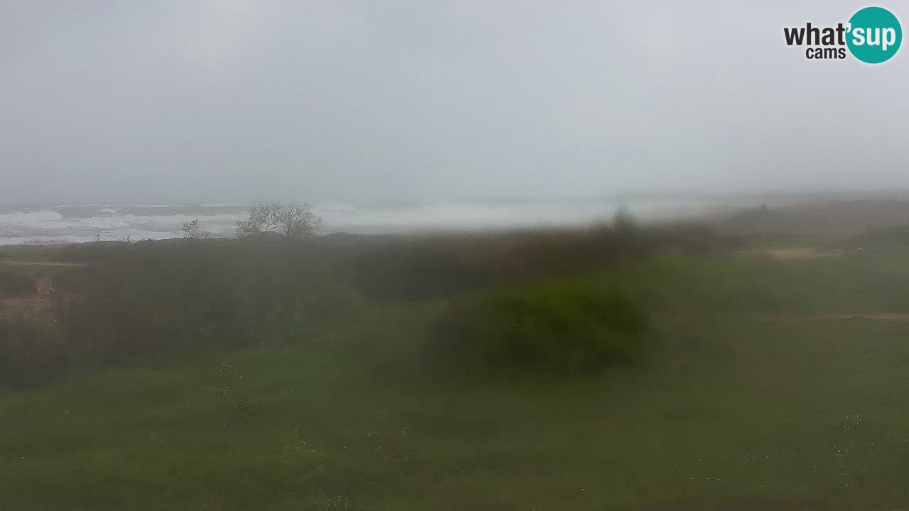 Playa Mari Ermi | Is Arutas – Oristano