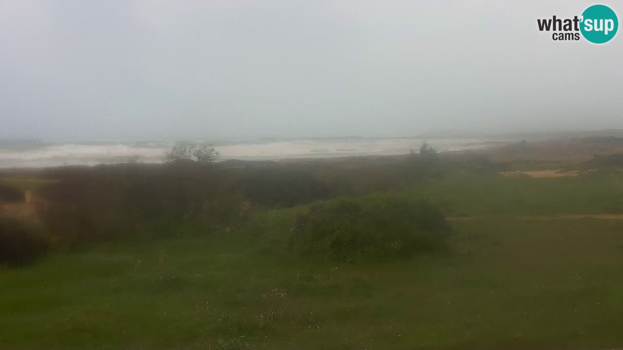 Mari Ermi Strand | Is Arutas – Oristano