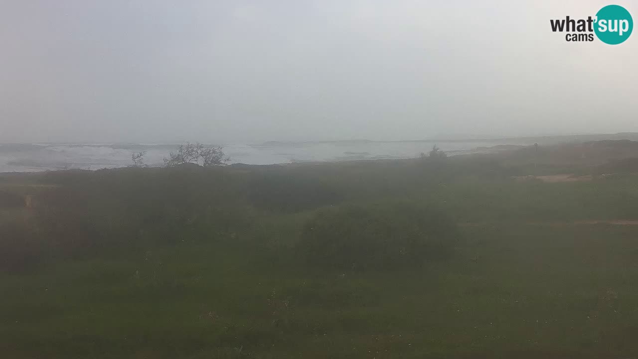 Plaža Mari Ermi | Is Arutas – Oristano