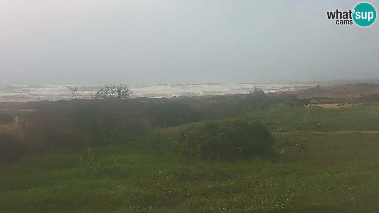 Playa Mari Ermi | Is Arutas – Oristano