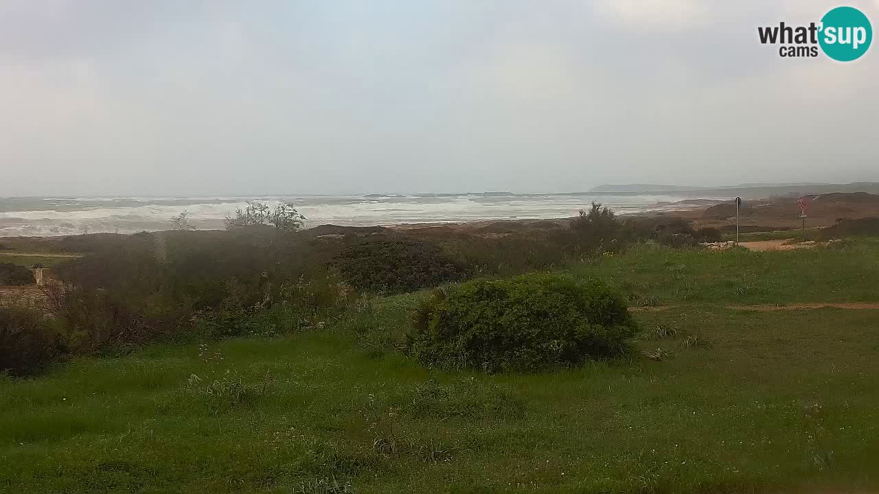 Spiaggia Mari Ermi | Is Arutas – Oristano