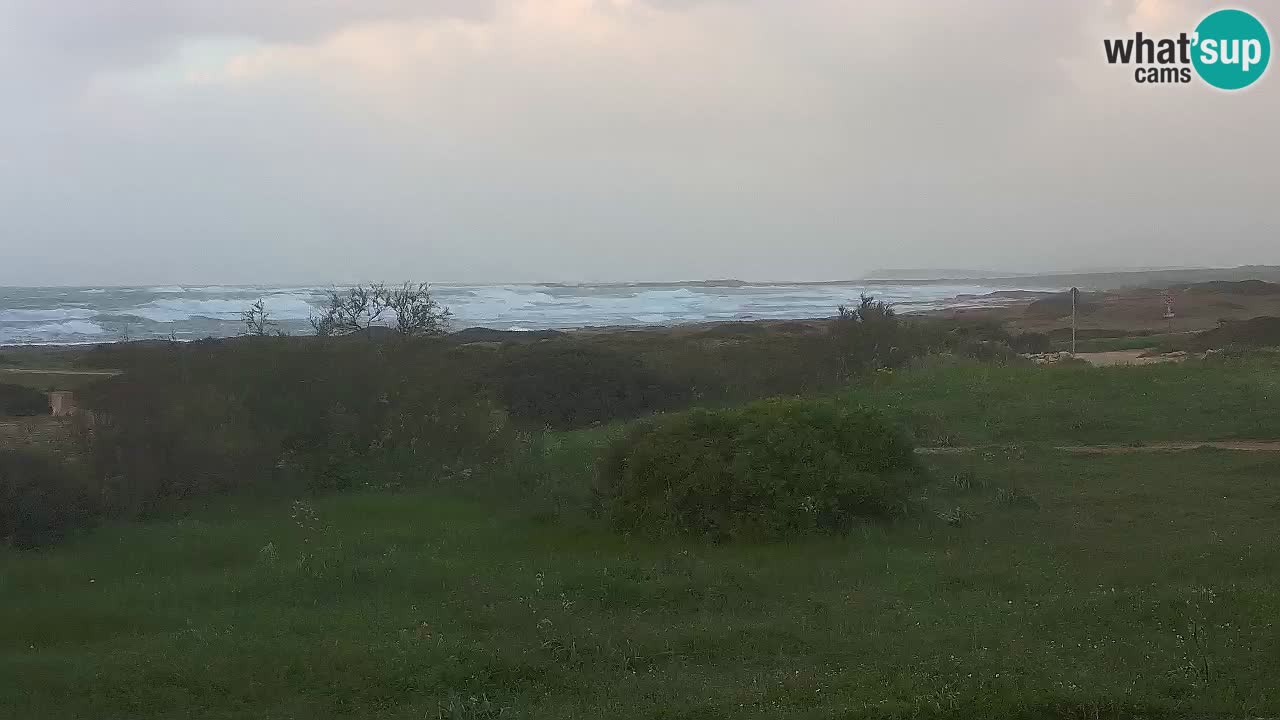 Mari Ermi Strand | Is Arutas – Oristano