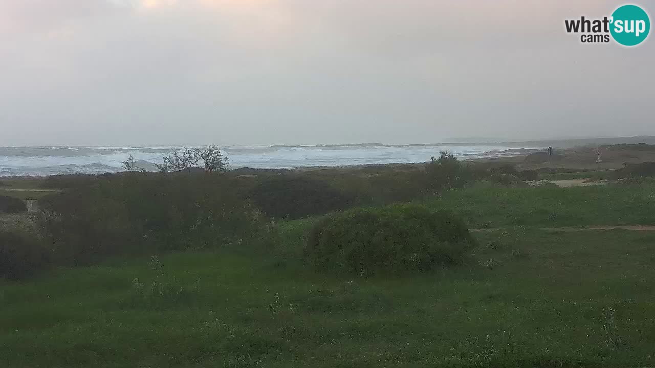 Spiaggia Mari Ermi | Is Arutas – Oristano
