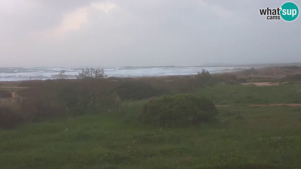 Plaža Mari Ermi | Is Arutas – Oristano