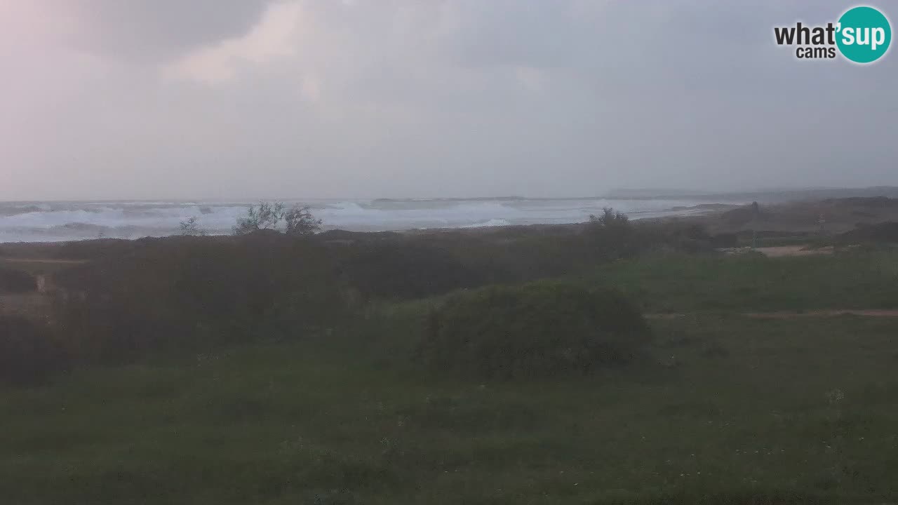 Mari Ermi Strand | Is Arutas – Oristano