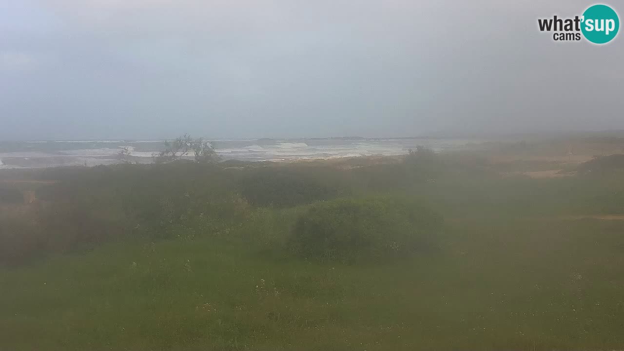 Spiaggia Mari Ermi | Is Arutas – Oristano