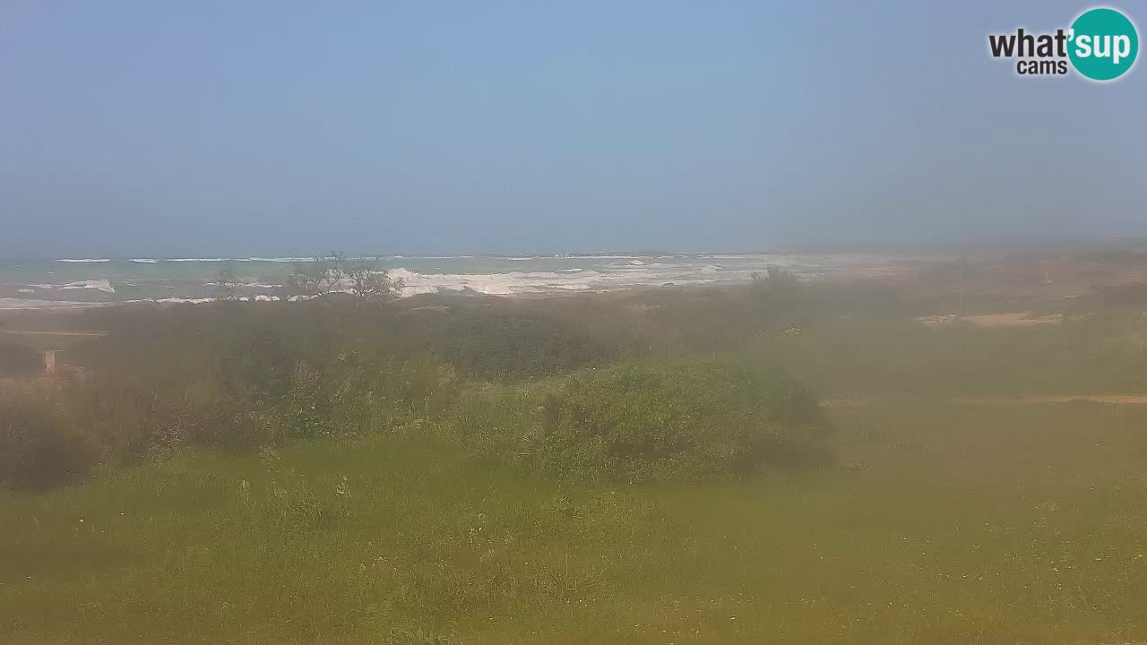 Mari Ermi Strand | Is Arutas – Oristano