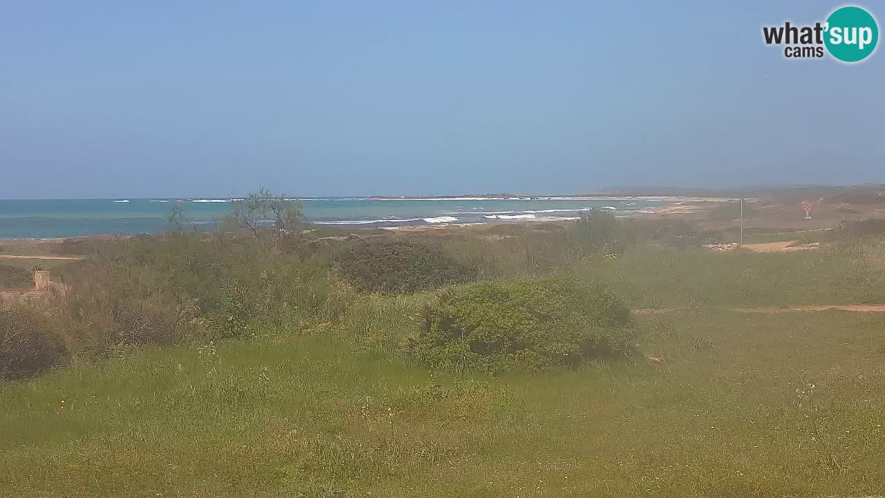 Playa Mari Ermi | Is Arutas – Oristano