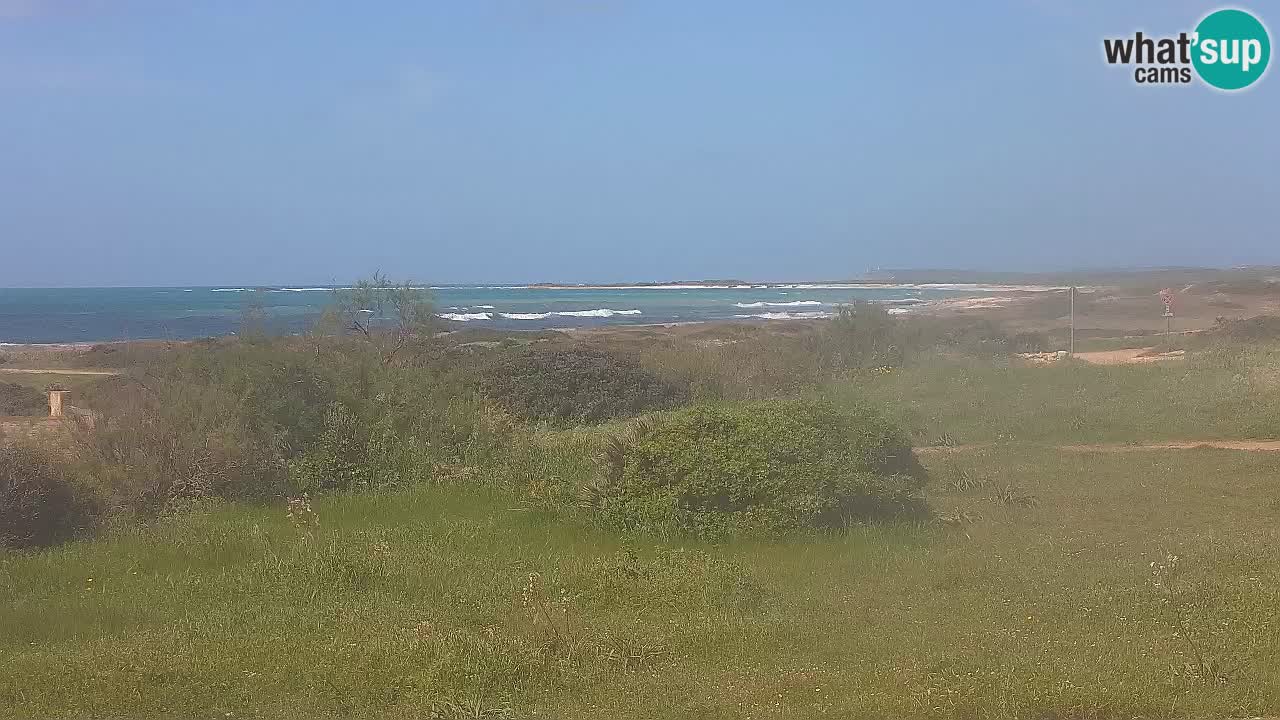 Plaža Mari Ermi | Is Arutas – Oristano