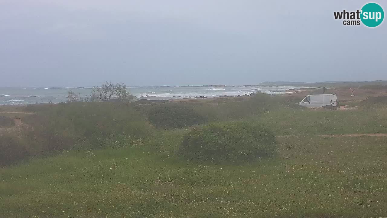 Playa Mari Ermi | Is Arutas – Oristano