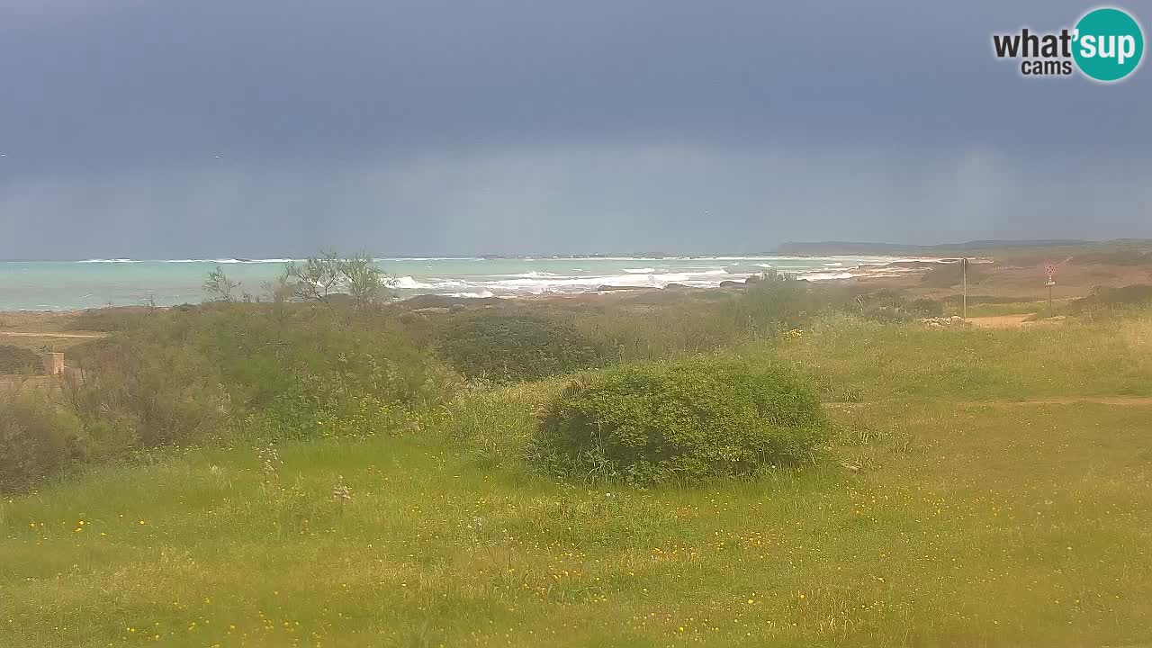 Plage Mari Ermi | Is Arutas – Oristano