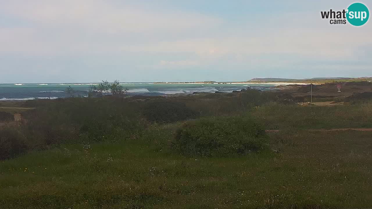 Spiaggia Mari Ermi | Is Arutas – Oristano