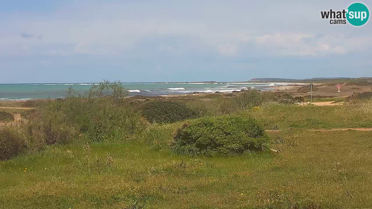 Playa Mari Ermi | Is Arutas – Oristano