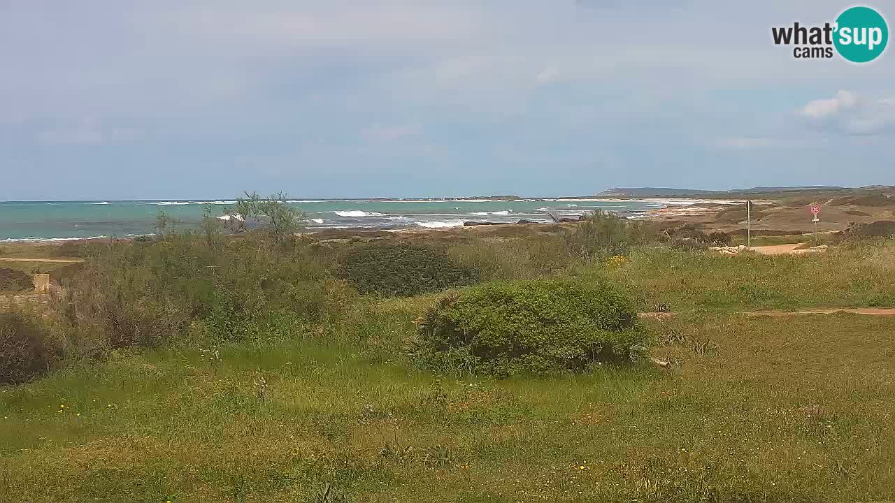 Spiaggia Mari Ermi | Is Arutas – Oristano