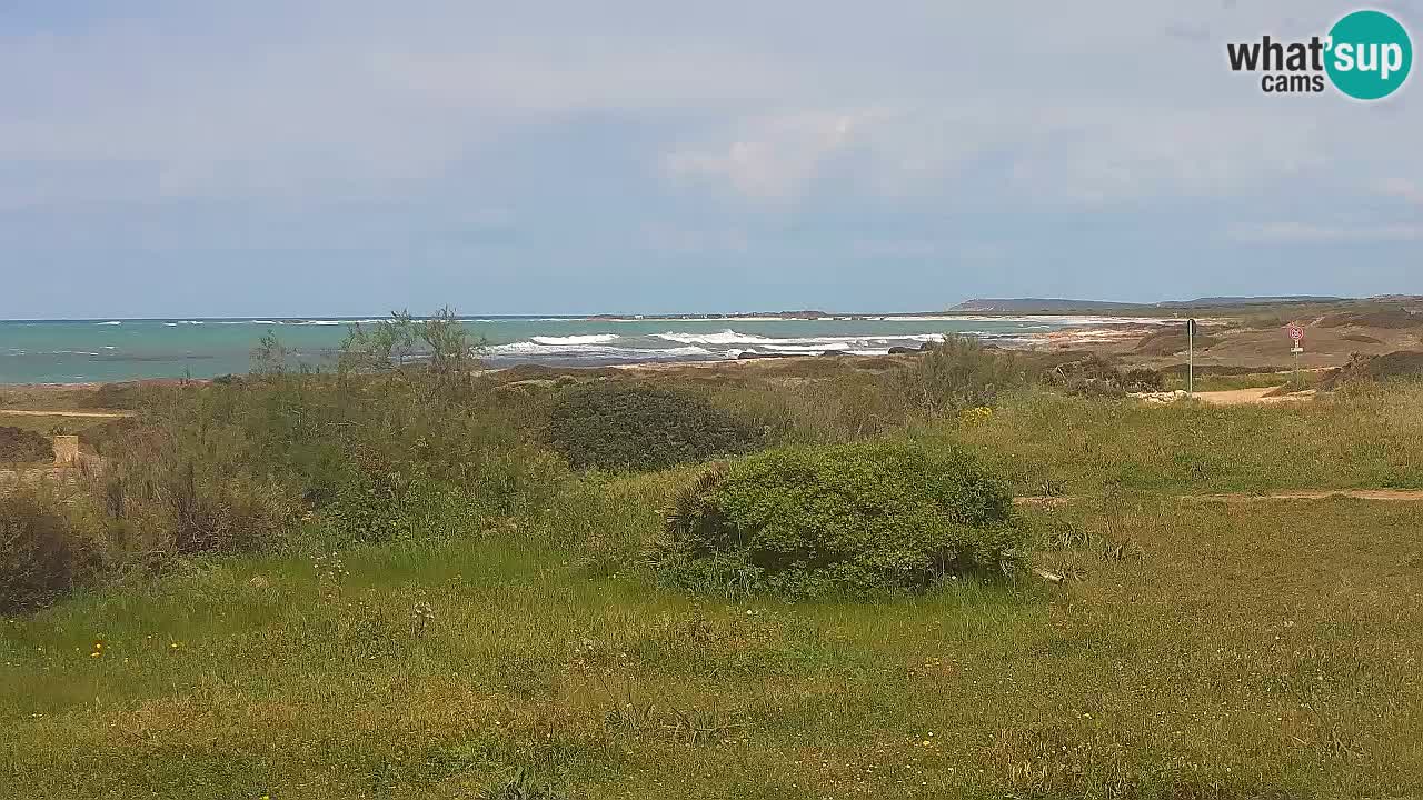 Spiaggia Mari Ermi | Is Arutas – Oristano