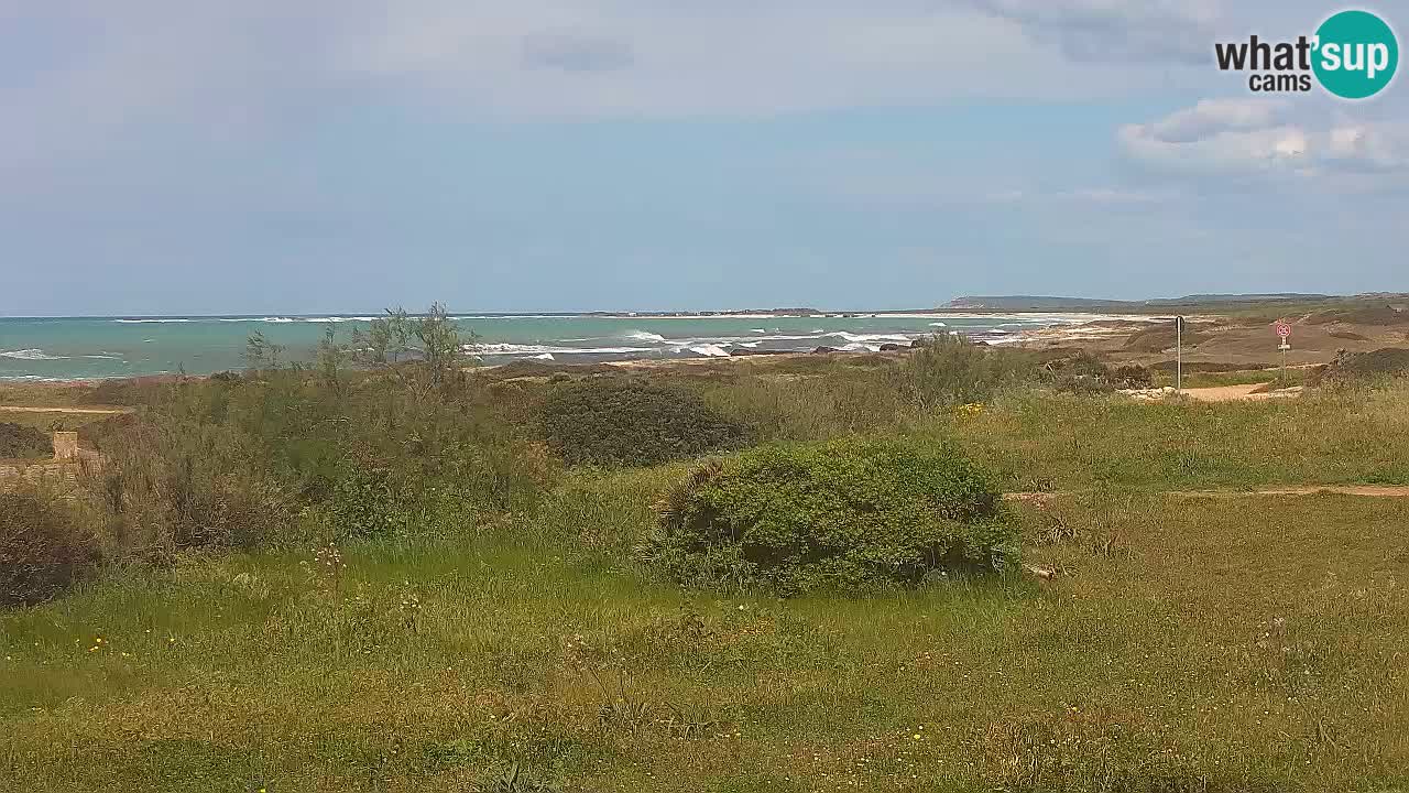 Mari Ermi Strand | Is Arutas – Oristano