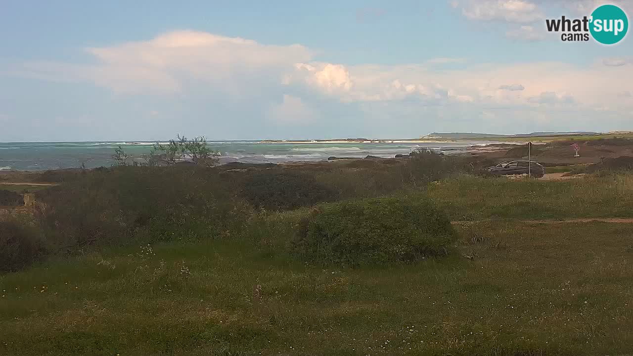 Playa Mari Ermi | Is Arutas – Oristano