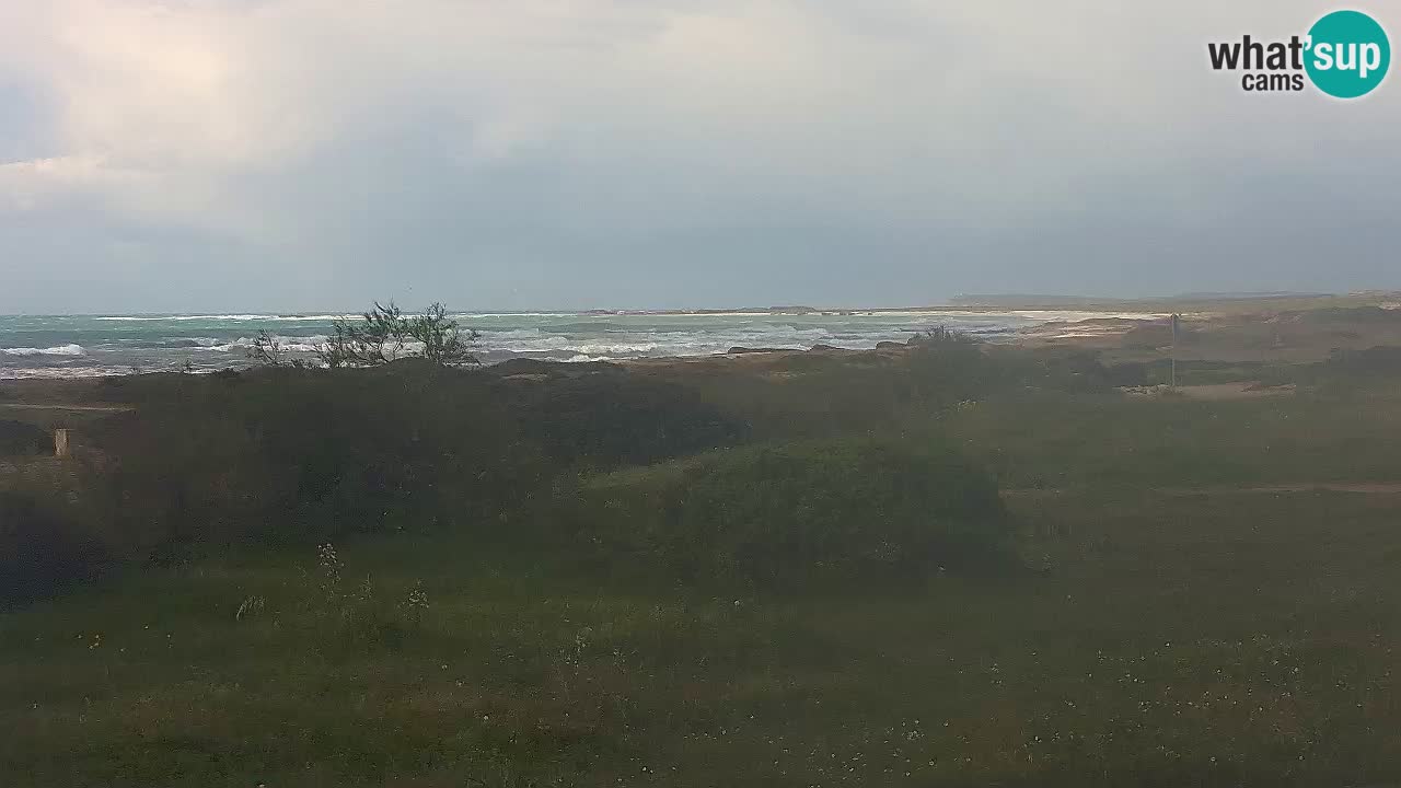 Mari Ermi beach | Is Arutas – Oristano