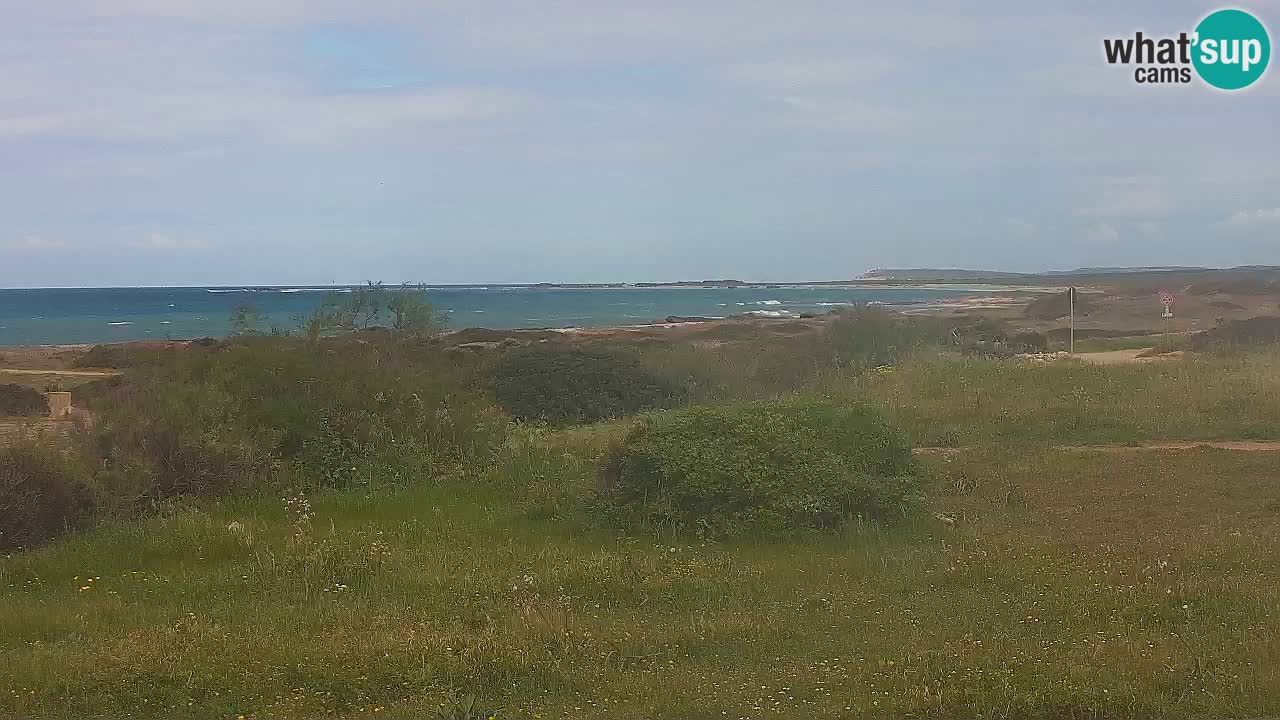 Plaža Mari Ermi | Is Arutas – Oristano