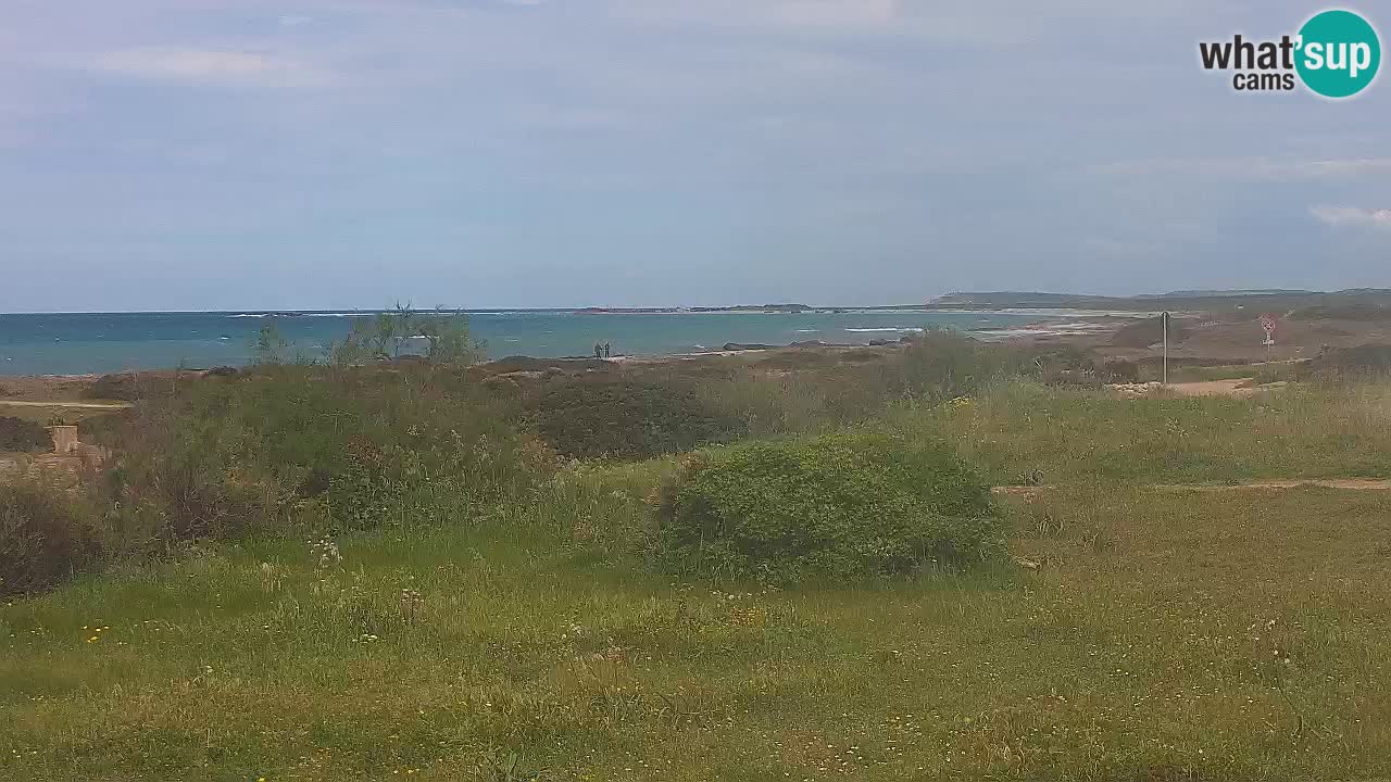 Plage Mari Ermi | Is Arutas – Oristano