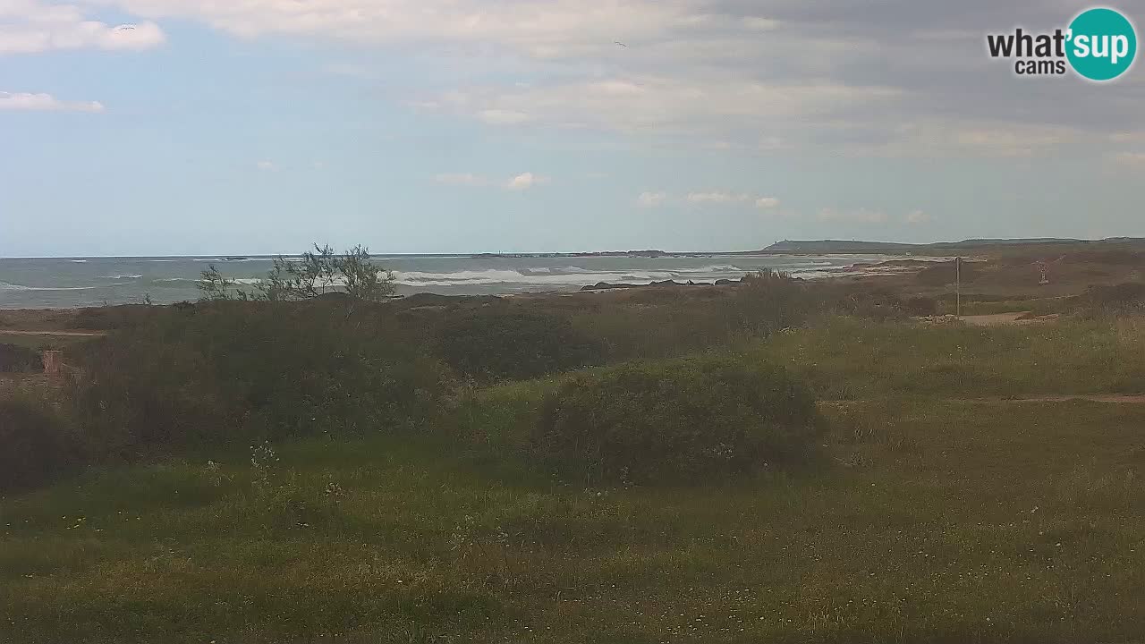 Mari Ermi beach | Is Arutas – Oristano