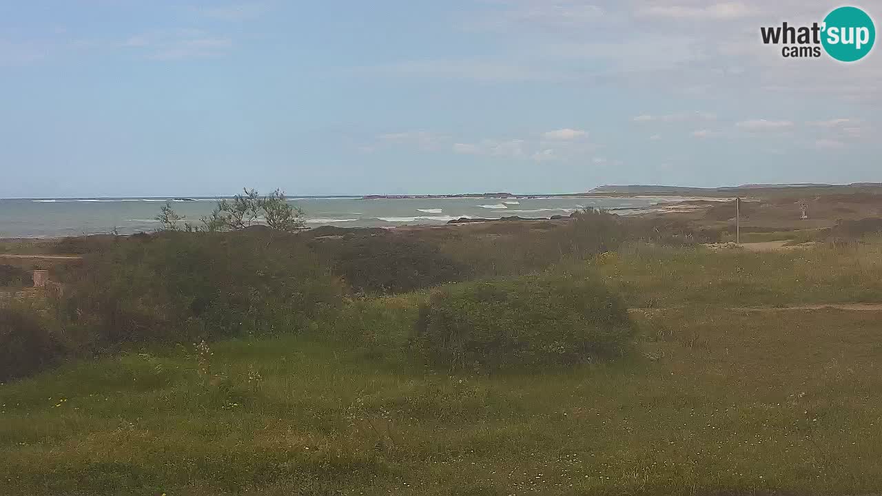 Playa Mari Ermi | Is Arutas – Oristano