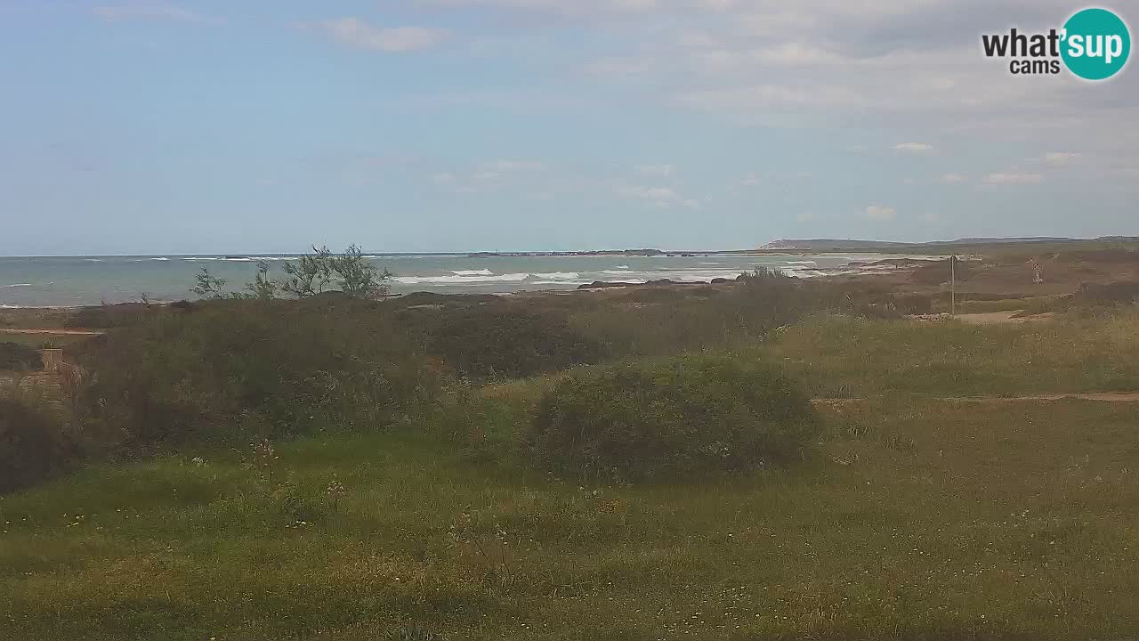 Playa Mari Ermi | Is Arutas – Oristano